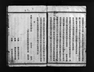 族谱预览