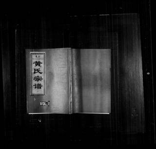 族谱预览