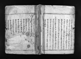 族谱预览