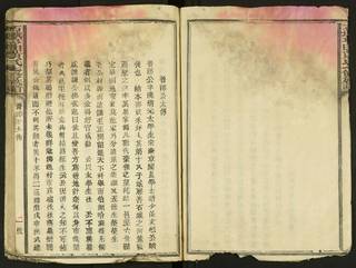 族谱预览