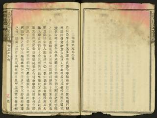 族谱预览