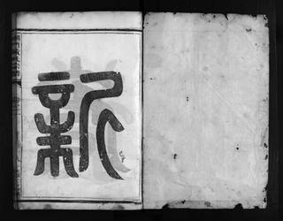 族谱预览