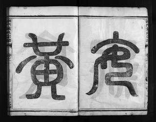 族谱预览