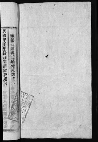 族谱预览