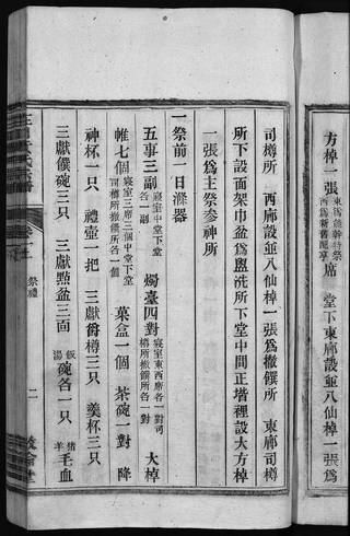 族谱预览
