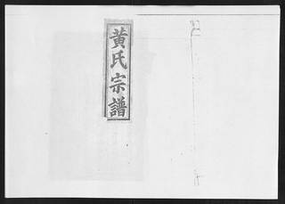 族谱预览