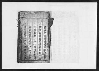 族谱预览