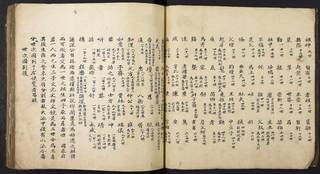 族谱预览