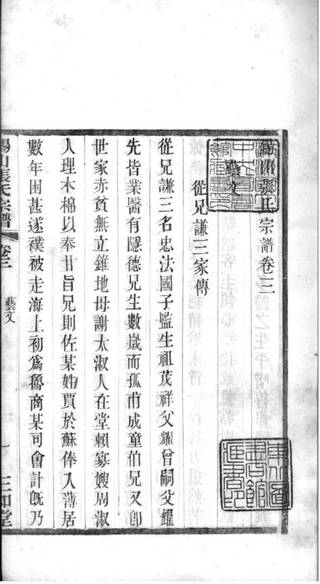 族谱预览