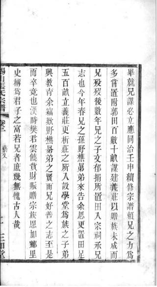 族谱预览