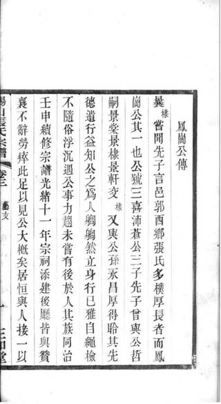 族谱预览