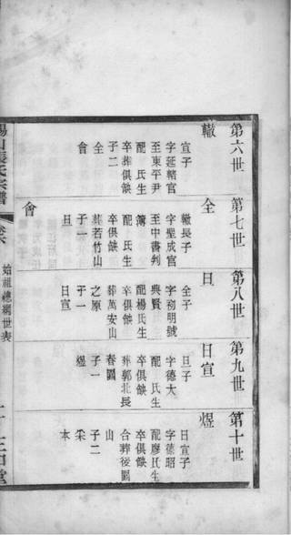 族谱预览