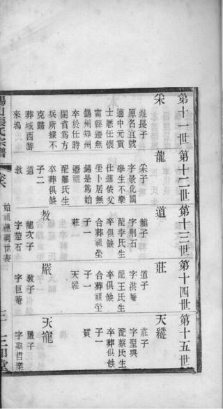 族谱预览