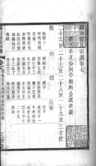 族谱预览