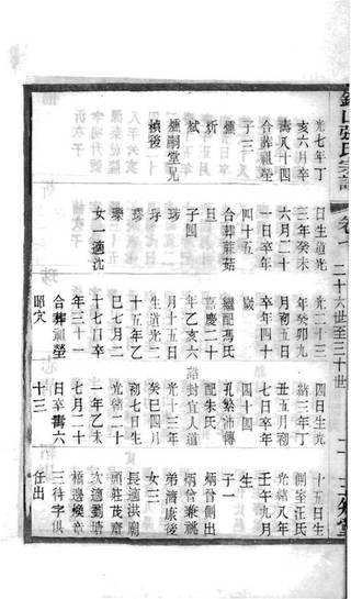 族谱预览