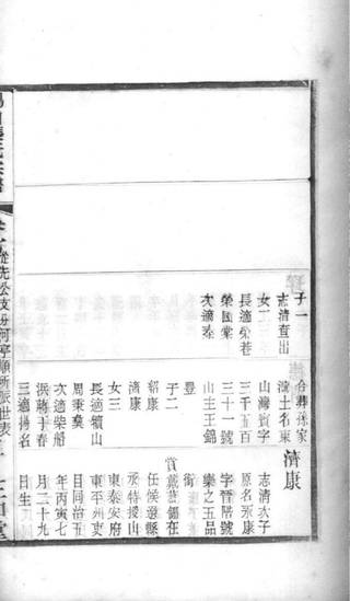 族谱预览