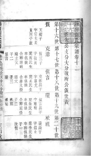 族谱预览