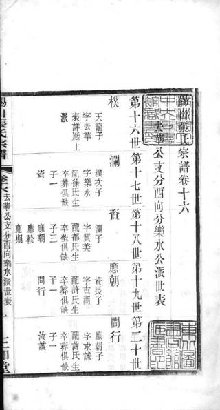 族谱预览