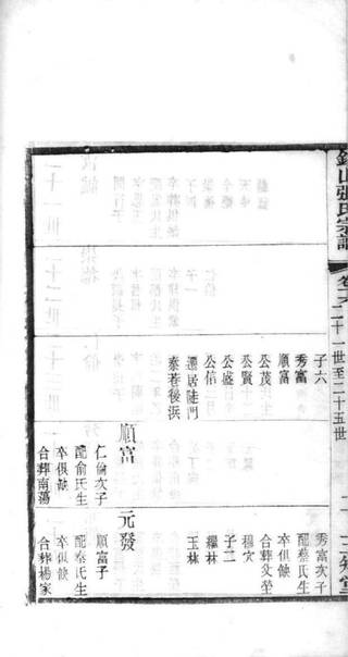 族谱预览