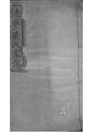 族谱预览