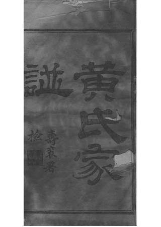 族谱预览