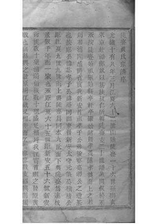 族谱预览