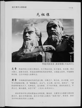族谱预览