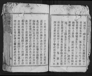 族谱预览