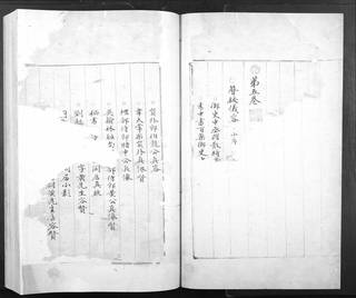 族谱预览