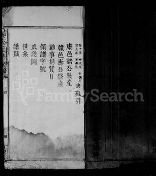 族谱预览