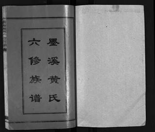族谱预览