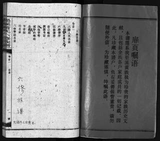 族谱预览