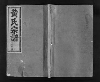 族谱预览