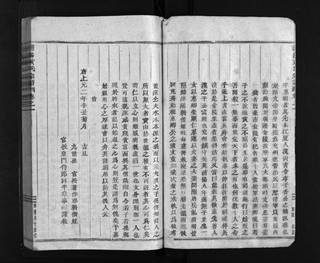 族谱预览
