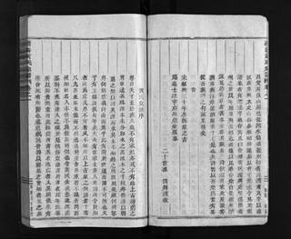 族谱预览