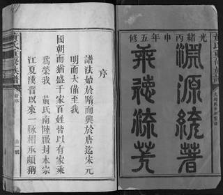 族谱预览