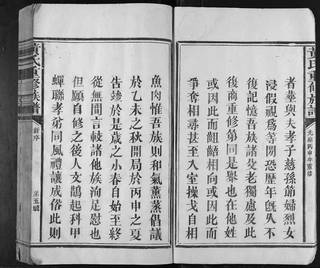 族谱预览
