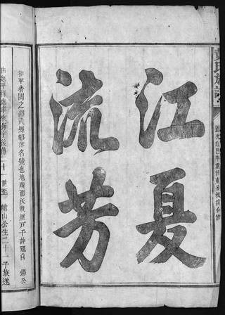 族谱预览
