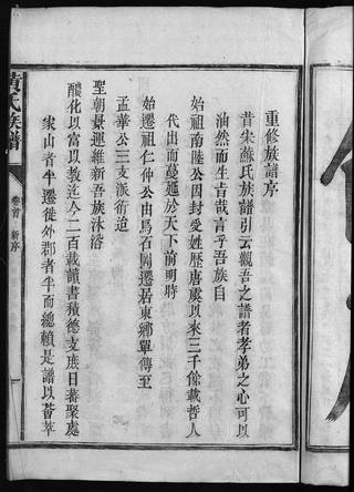 族谱预览