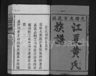 族谱预览