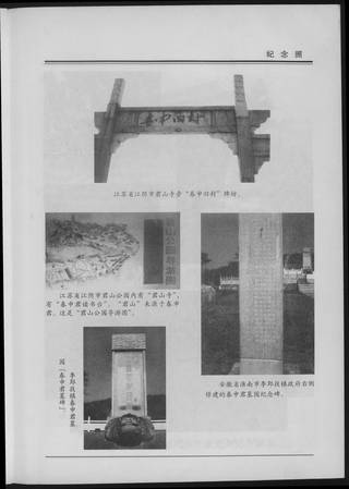 族谱预览