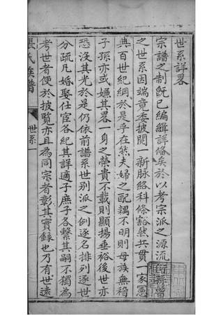 族谱预览