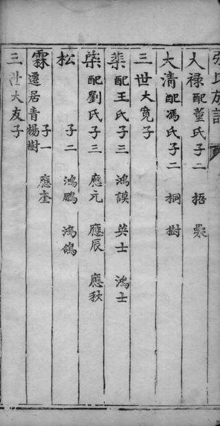 族谱预览