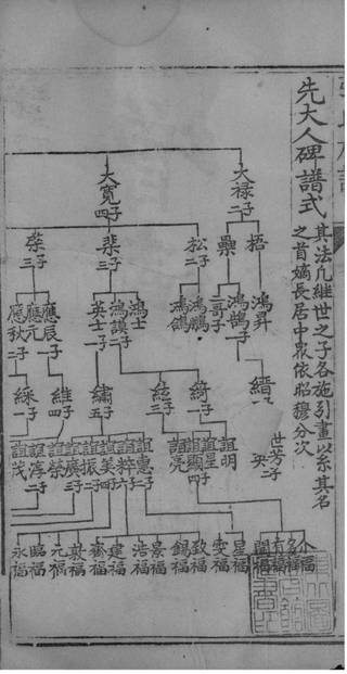 族谱预览