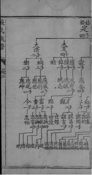 族谱预览