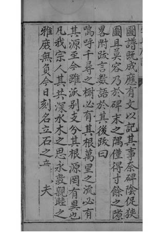 族谱预览
