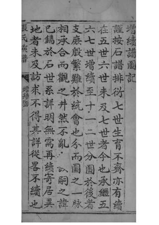 族谱预览