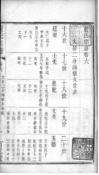 族谱预览
