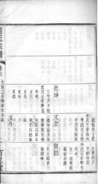 族谱预览