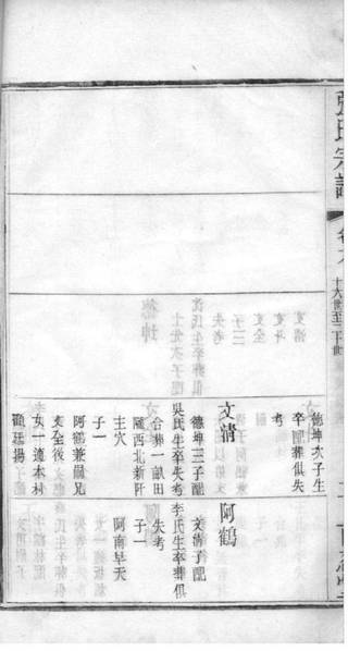 族谱预览